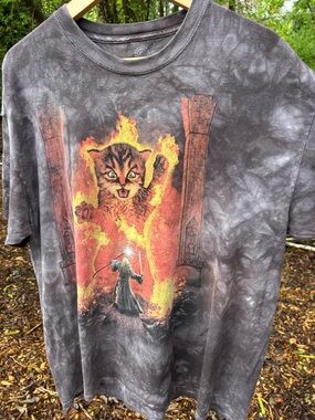 The Mountain Gandalf Shall Not Pass the Cat T-Shirt Men's 2X Fire Kitten Wizard